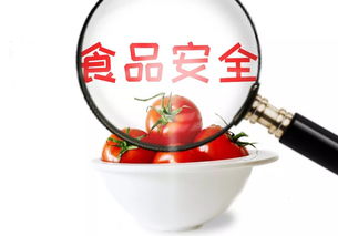 守護舌尖安全，共筑食安淄博——關于征集市民最關心的食品安全與餐飲管理問題的倡議