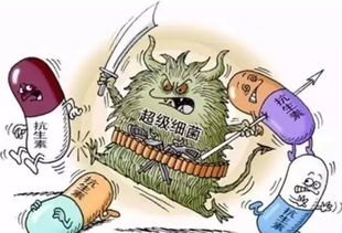 無抗養(yǎng)殖 衡量水產(chǎn)未來的天平，抗生素扮演關(guān)鍵砝碼